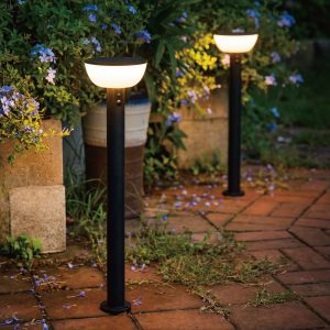 2pk VerLuce Solar Pathway Lights Basin Series