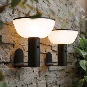 VerLuce Solar Wall Lights Basin Series 2pk