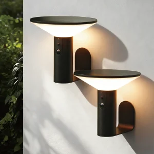 VerLuce Solar Wall Lights Victorian Style 2pk